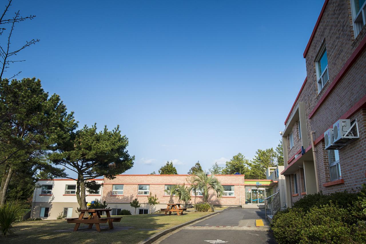 Jeju Youth Hostel Dış mekan fotoğraf