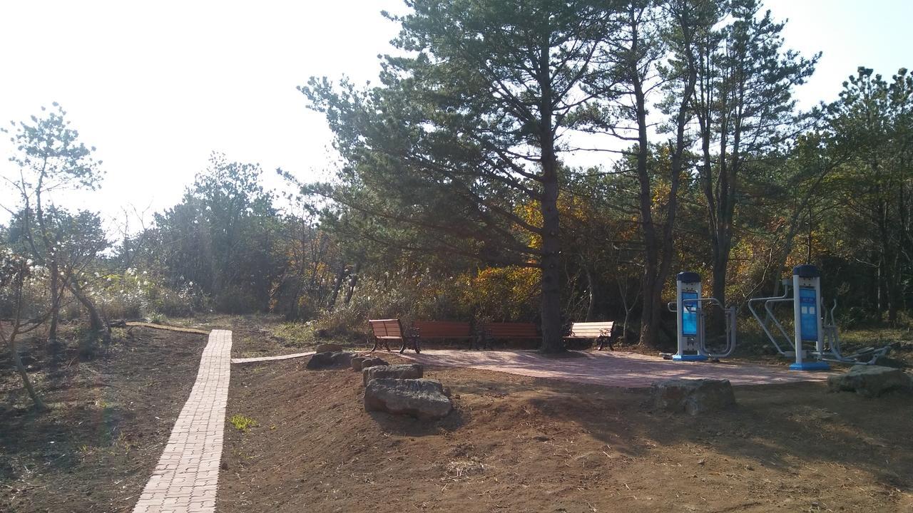 Jeju Youth Hostel Dış mekan fotoğraf