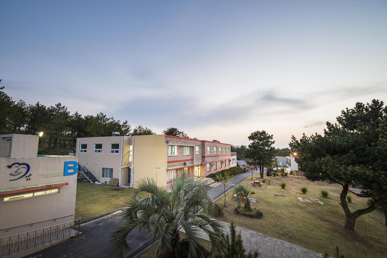 Jeju Youth Hostel Dış mekan fotoğraf