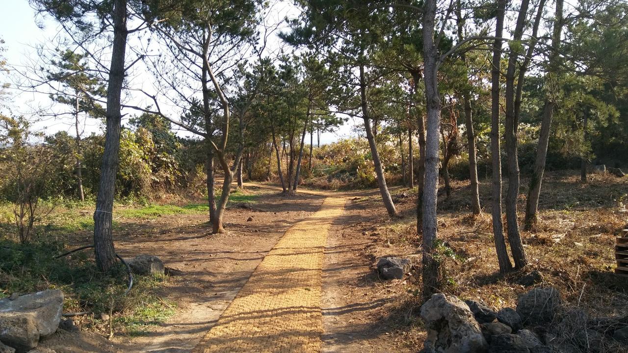 Jeju Youth Hostel Dış mekan fotoğraf